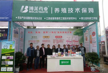 MG娱乐药业隆重参展武汉种猪拍卖会！