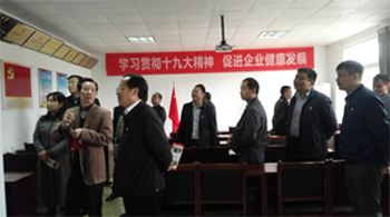 九江市柴桑区委书记骆效农考察MG娱乐党建工作